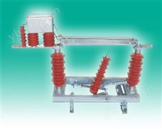 FZW□-27·5-D1250-20型户外高压交流真空负荷开关