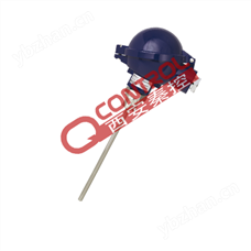 威熱電阻溫度計TR10-2德國wika代理