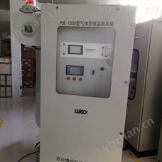 PUE-501供應(yīng)西安博純PUE-501多組分氣體分析儀（煤氣、天然氣分析）