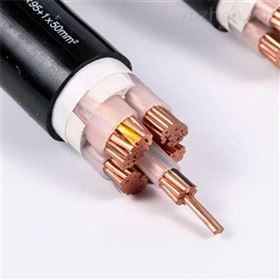 塑料电缆VV3*35+1*16电力电缆VV3*25+1价格
