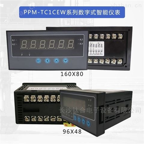 智能數字壓力控制儀器 PPM-TC1CEW壓力表
