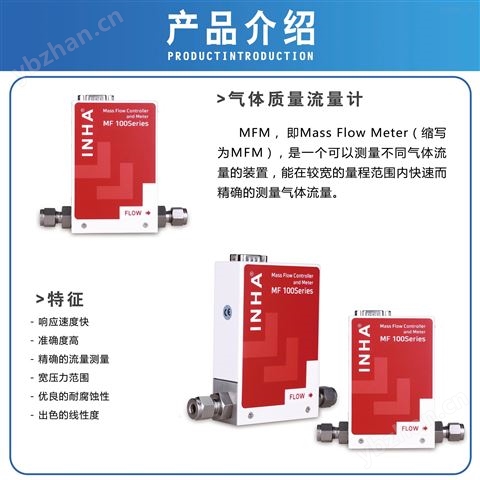 INHA-氣體質量流量計-模擬經濟型