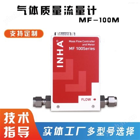 INHA-氣體質量流量計-模擬經濟型