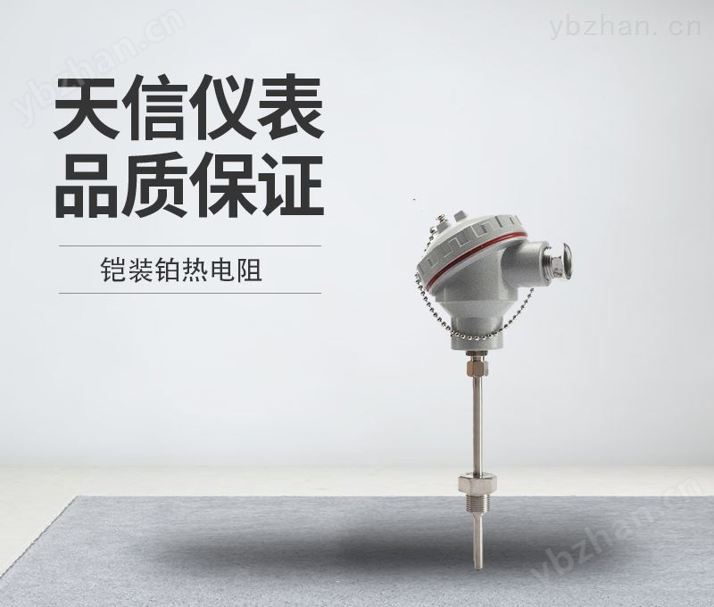 鎧裝鉑熱電阻