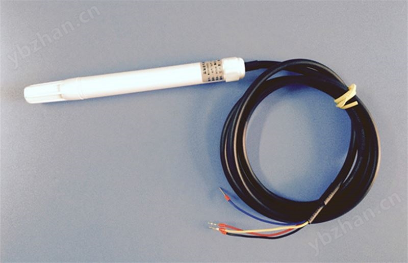 RY-WS301型筆式溫濕度傳感器