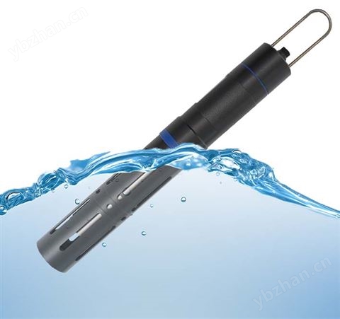 手持多參數(shù)水質(zhì)傳感器