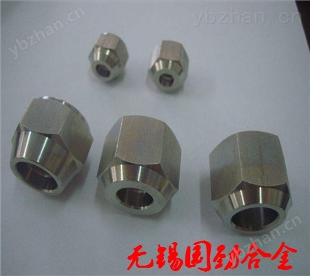 供應(yīng)S17400重型螺母-