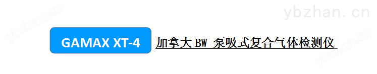 加拿大BW GAMAX XT-4泵吸式復合氣體檢測儀.png